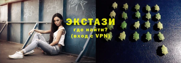 гидра Вязьма