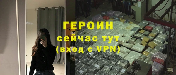 гидра Вязьма