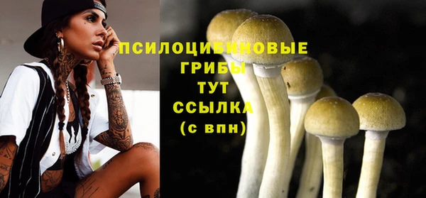 метамфетамин Вяземский