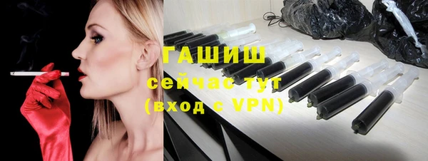 гидра Вязьма