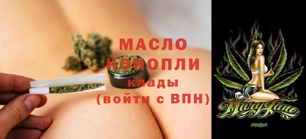 гидра Вязьма
