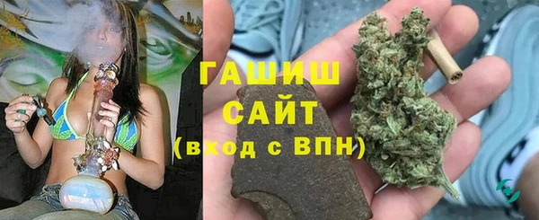 гидра Вязьма