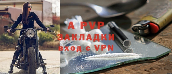 гидра Вязьма