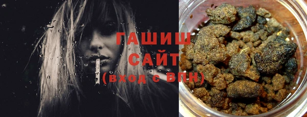гидра Вязьма