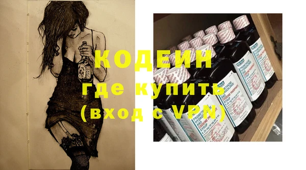 гидра Вязьма