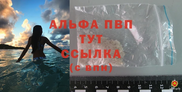 гидра Вязьма