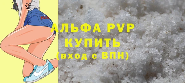 гидра Вязьма
